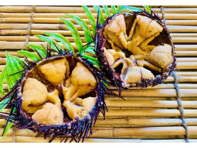 この夏限定!極上の“生ウニ”が主役!「ウニ奉行 2025」in群馬アピタ高崎で開催決定!