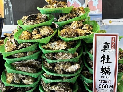 ＜岐阜県各務原市＞ 4/5-5/6の限定出店！約５トンの殻付き牡蠣を特価販売！旬の牡蠣を炭火で楽しむ『牡...