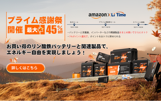 ✴︎ご成約品✴︎リピーター様　イベント割引　３点 過去最安値！』年に一度のAmazonプライム感謝祭でLiTimeのリン酸