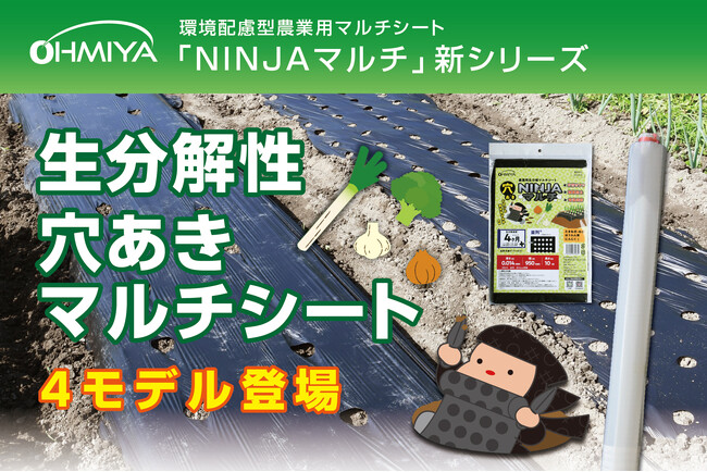 農業の未来を支える環境配慮型マルチシート生分解性「NINJAマルチ」シリーズに、穴あきタイプ4モデルが新登場！