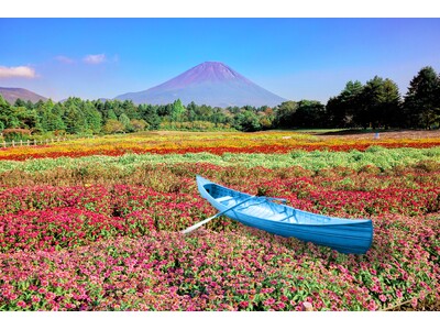 富士本栖湖リゾート「虹の花まつり2025」8/30(土)よりスタート