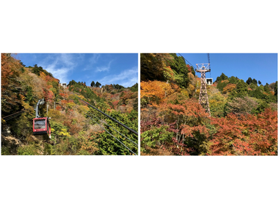 「身延山ロープウェイ 紅葉キャンペーン」2025年10月11日(土)～11月24日(月・祝)開催