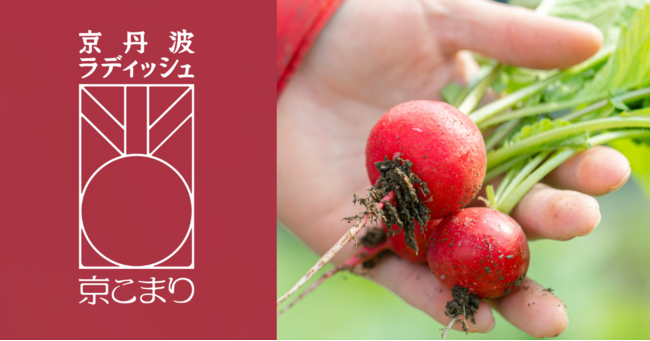 《持続可能な町おこし》を目指して大玉ジューシー・甘くてフルーティーな京丹波ラディッシュを先行販売開始！
