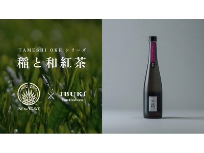 【IBUKI bottled tea × 稲とアガベ】マスカットのような香りが特徴のコラボレーションクラフトサケ「稲と和紅茶」が新登場！
