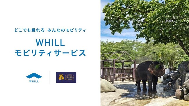 千葉県にある動物園「市原ぞうの国」で、だれもが乗って快適に園内散策できる近距離モビリティ「ウィル」を活用した移動サービスが導入