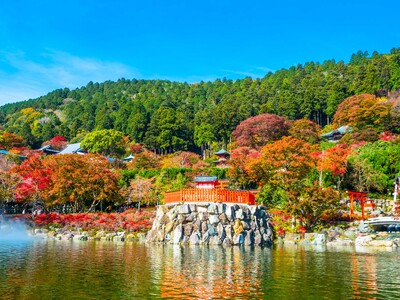 【箕面市・勝尾寺】紅葉期間の「専用シャトルバス運行」＆「特別夜間ライトアップ」を2024年11月9日（土）より実施！【同期間の駐車場完全予約制もスタート】