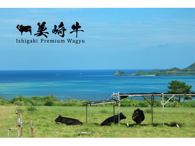 【美崎牛】石垣島から直送。「美崎牛」公式ECサイトがオープン！