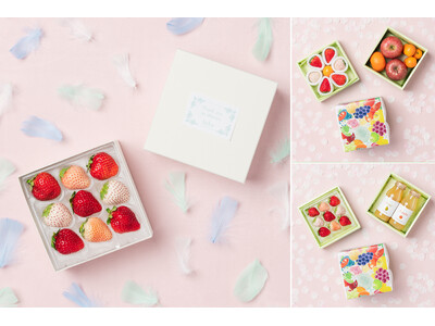 【ホワイトデーやお祝い事などのギフトシーンに】フルーツギフトのオンラインショップ「Seika」にて、国産いちごが彩る春のフルーツギフト販売中