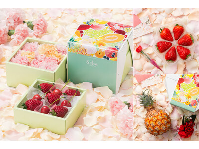 �y�g�t���[�c�ƉԂ̕�Δ��h��V��M�t�g���o�� �z�ʂ̘V�ܒ������肪����t���[�c�M�t�g�̐��X�uSeika�v��̓��M�t�g�̔��J�n