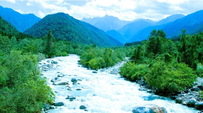 美味しいお米には自然の学びがある。水を大切にする富山の人たちがつくる『富富富』