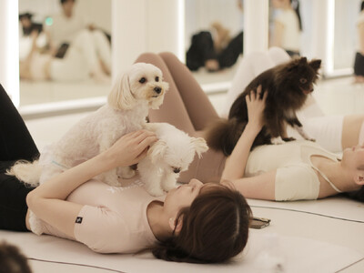 愛犬と“ととのう”新習慣。広尾駅徒歩10秒に常設ドッグヨガスタジオ「Dog Yoga MUKKU」がオープン