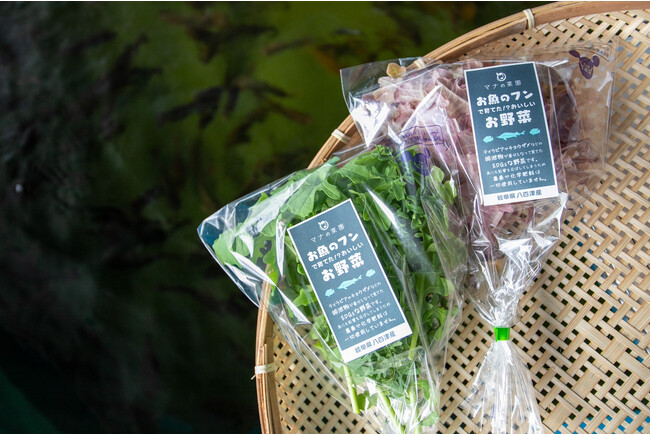 日本最大級のアクアポニックス農場で生産した野菜を、本日から道の駅で直売