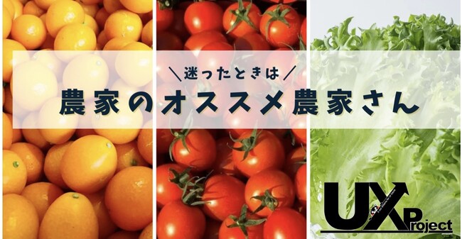 食べチョクに登録している熊本県の農家が協力して試供品やチラシを同梱するプロジェクトを始動