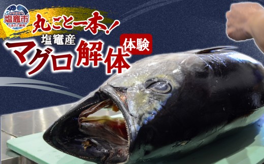 現役高校生が起業！マグロ解体体験でふるさと納税へ初参入