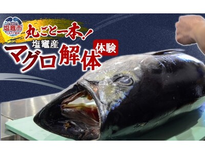 現役高校生が起業！マグロ解体体験でふるさと納税へ初参入