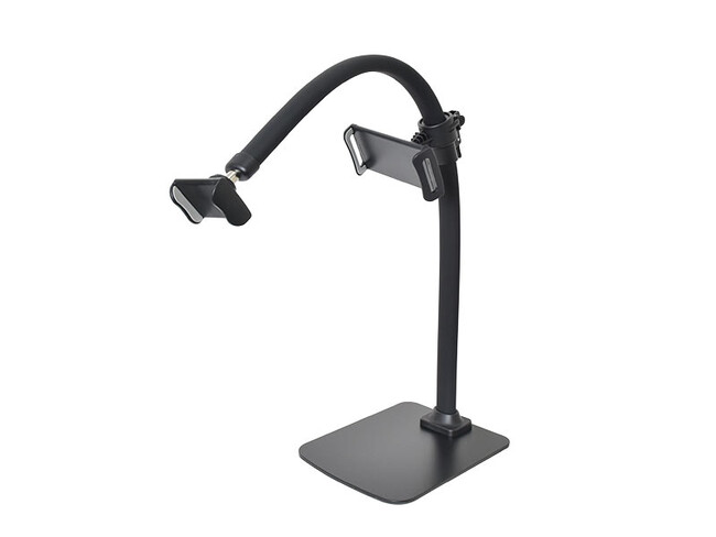 wQEQΉX}zA[u莝Ďvx𔭔