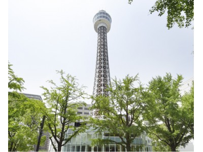 横浜マリンタワーがグレープフルーツ一色に！3月31日(日)までの期間限定開催！！