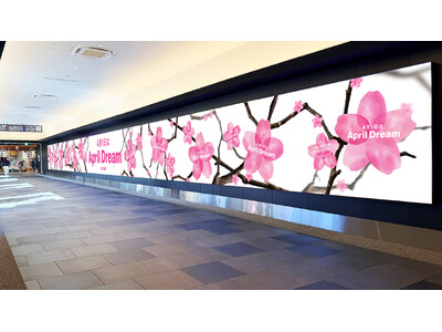 �u����A��ׁB�v�H�c�ɃX�|�[�c�I��E�o�D�E�̎��11���ƁA�C�O�֔�ї��������w���́u���v��񌾌�f���y4��1����April Dream�z