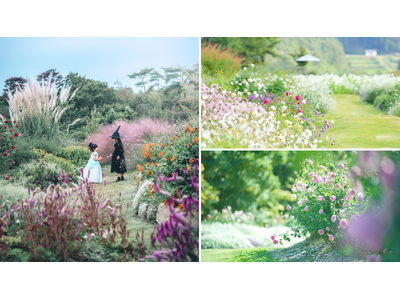 【広島／世羅】秋のばらと宿根草　ローズ＆フラワーガーデン9月13日OPEN　《そらの花畑　世羅高原花の森》