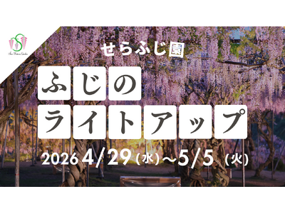 【広島／世羅】ふじのライトアップ「ふじとルピナスまつり」園内をライトアップします　4月29日から5月5日まで《せらふじ園》