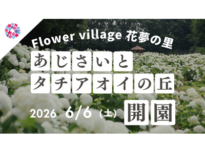 【広島／世羅】2026年6月6日OPEN！「あじさいとタチアオイの丘」《Flower village 花夢の里》