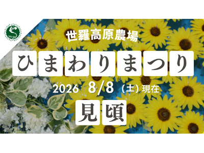 【広島／世羅】ひまわりが見頃を迎えています《世羅高原農場》 ひまわりまつりは8月23日（日）まで