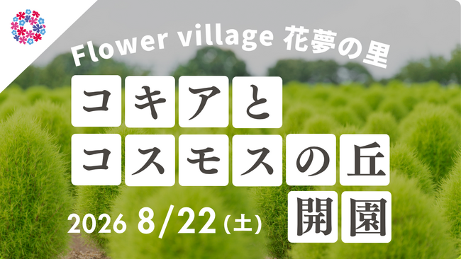 【広島／世羅】2026年８月22日OPEN！「コキアとコスモスの丘」今年は夏から秋にかけて開園します《Flower village 花夢の里》