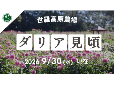 �y�L���^�����z�_���A�������ł��@�_���A�ƃK�[�f���}���Ձs���������_��t