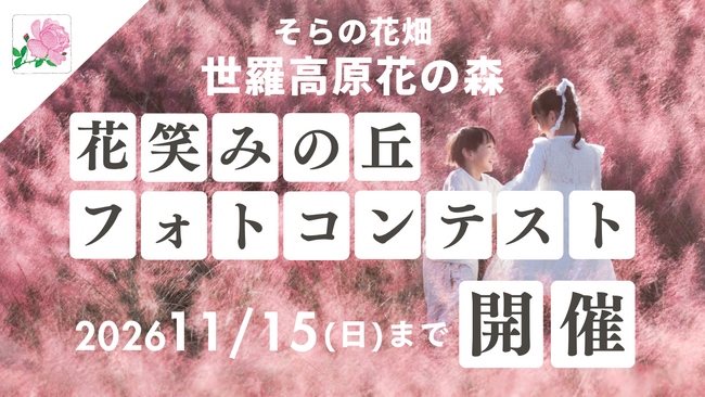【広島／世羅】新フォトコンテスト開催　ミューレンベルギアが咲く「花笑みの丘」《そらの花畑　世羅高原花の森》
