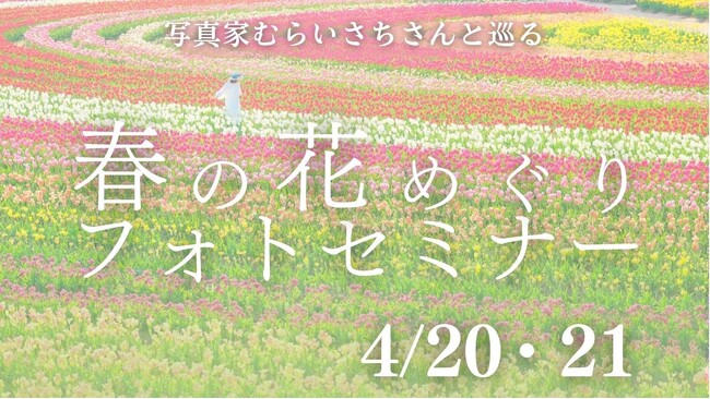 【広島／世羅】写真家むらいさちさんと巡る　春の花めぐりフォトセミナー《チューリップとネモフィラ》