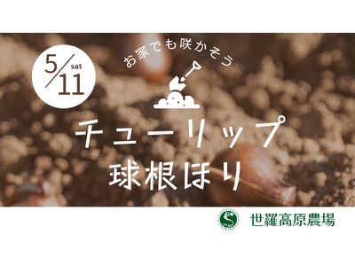 【広島／世羅】チューリップの球根ほりイベント開催《世羅高原農場》