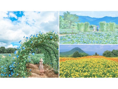 【広島／世羅】ヘブンリーブルーの丘《Flower village 花夢の里》
