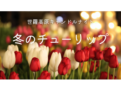 【広島／世羅】花とキャンドルを楽しむ　チューリップがお迎えする《世羅高原キャンドルナイト》