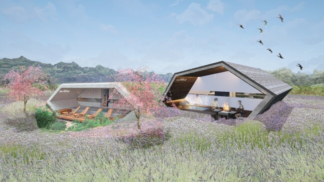 世界中から人々が訪れる“土の中のサウナホテル”『The Hive』が3周年を迎え、温浴露天風呂付きスイートヴィラ「Co Hive」を今夏オープン