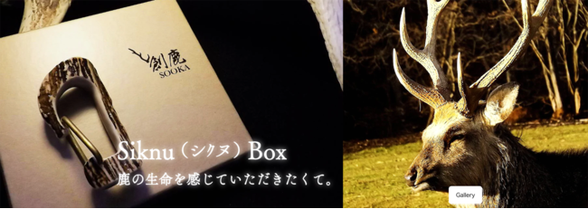 蝦夷鹿の角 エゾシカのツノ しかの角 13本まとめて