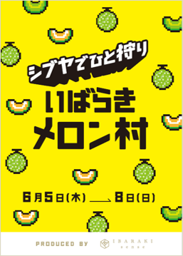 【いばらきメロンWEEK＜第2弾＞】渋谷にメロン畑が出現！？メロン生産量日本一！茨城県のアンテナショップが贈るメロン狩り体験/メロン販売PRイベント「シブヤでひと狩り いばらきメロン村」