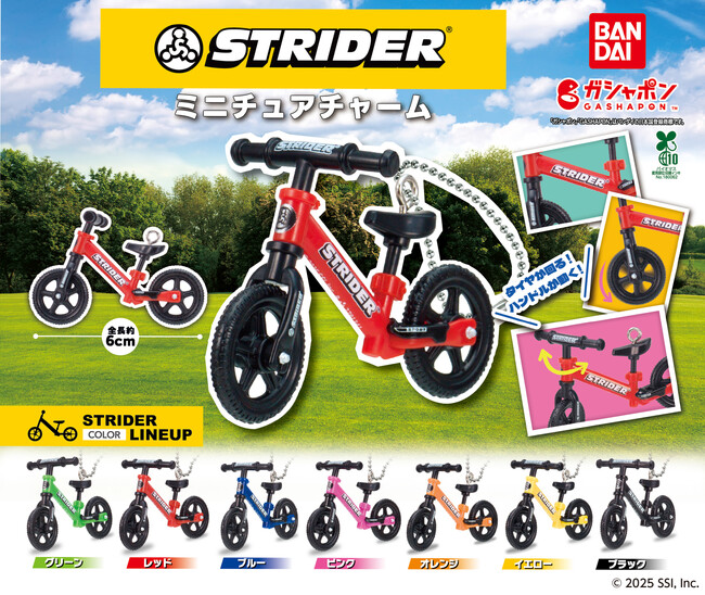 ストライダー 限定コラボ STRIDER X-GARLコラボ エックスガール