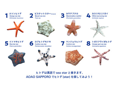 札幌はヒトデのまち！？さっぽろのスター誕生！七夕に合わせ、海の星・ヒトデの企画展「ヒトデのワンダー展」開催