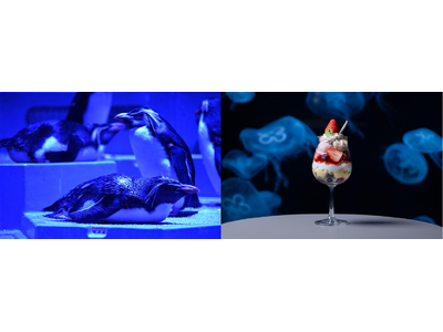 札幌の夜はペンギンとシメパフェと生ビールで決まり!「OMO3札幌すすきの by 星野リゾート」から引き継...