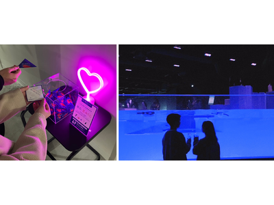 あなたの今夜の愛のスタイルは？ペンギンタイプ？クマノミタイプ？愛を確かめ合う幸せな夜更かしを！ナイトタイム限定プログラム「夜の、恋みくじ」を開催