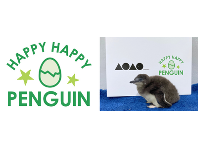 “世界一小さなペンギン”の雛がすくすく順調に成長中! 成長を祝うイベント「ハッピーハッピーペンギン 2026」を開催