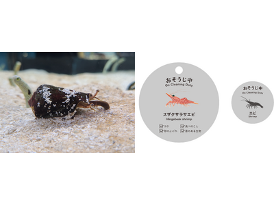 砂のよごれやコケなどを食べ水槽を掃除する12種類の生物を当番制で紹介　新展示「おそうじスタッフの当番札」をスタート