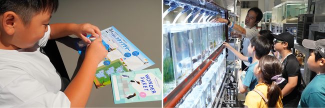 生物たちの進化を学ぶ、夏休みならではの子ども向けプログラムを開催！新展示がもっと楽しい「大進化スタンプラリー」がスタート