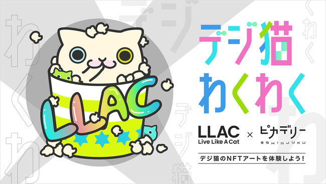 yNFT~G^zLive Like A CatAVhsJf[ƃR{[VCxgJÌI