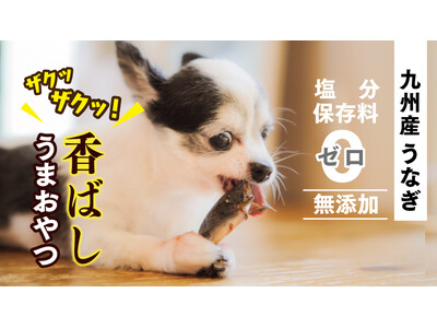 『九州産うなぎの頭使用』養鰻家がつくった犬のおやつ『うなまる』で保護犬応援へ！！7.15Makuakeにて先行発売！