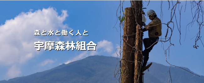 ２泊３日で林業の魅力に触れてみよう！短期インターンシッププログラム募集開始