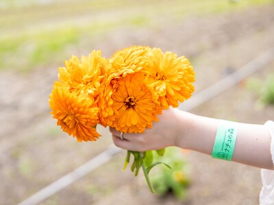 初夏のナチュの森で、カレンデュラにふれる「カレンデュラフェス」を開催
