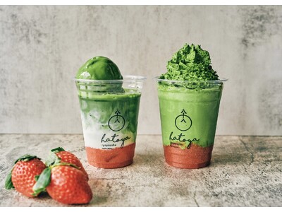 【広島初上陸】八十八良葉舎がそごう広島店に1月6日(土)より初出店。