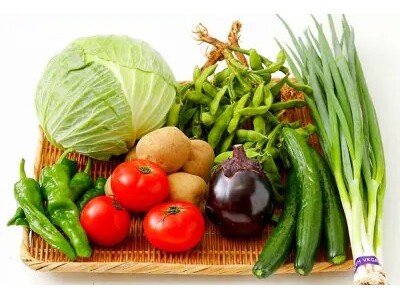 【野菜の日】JAL国際線ファーストクラスの機内食に京都伏見の農産物直売所「じねんと市場」で扱う京丹波の“...