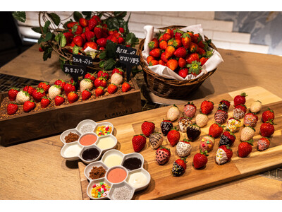 【アロフト東京銀座】まるでいちご狩り！銀座で味わう『いちごの収穫祭』